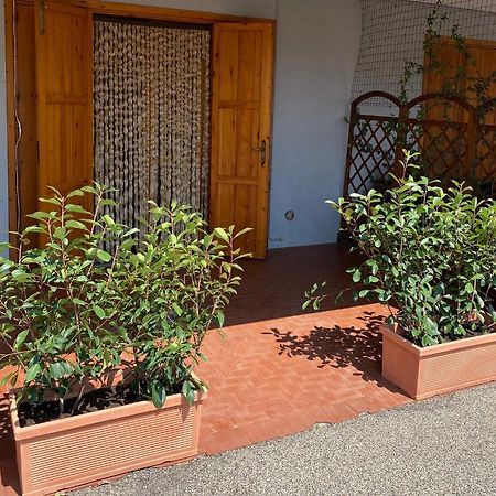 Umbria Vacanze Apartament Stroncone Zewnętrze zdjęcie